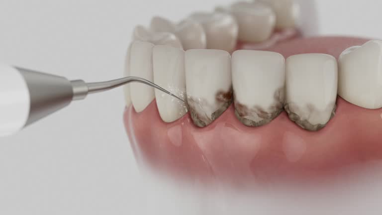 Reliable Dental contractor in El Paso, IL by Dentist Open Now